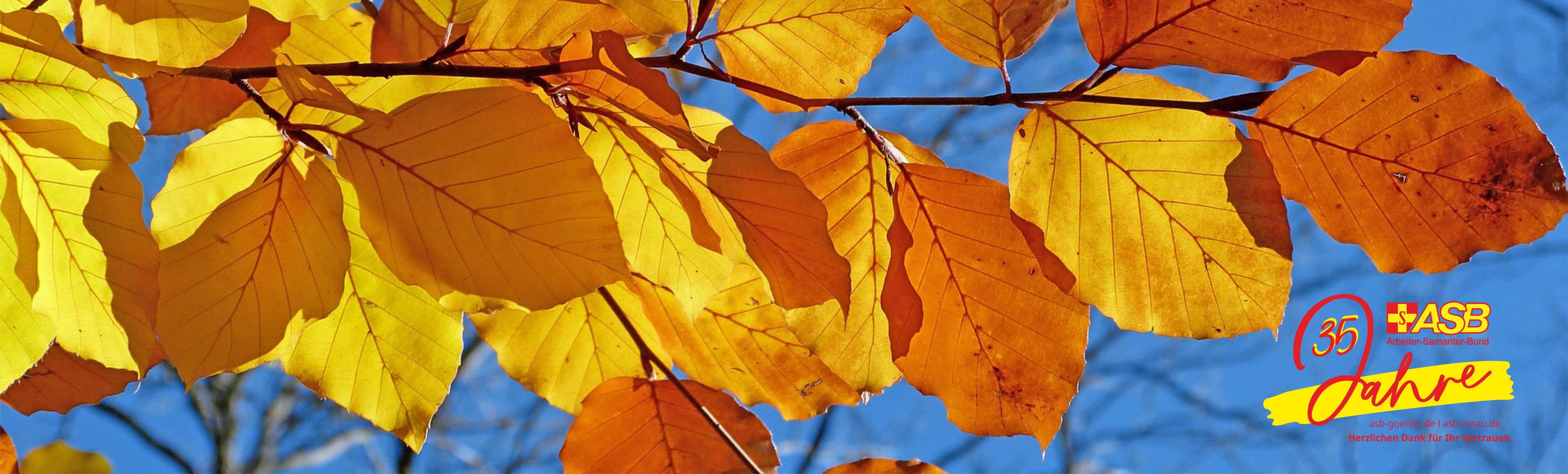 Header_Herbst_9_25.jpg