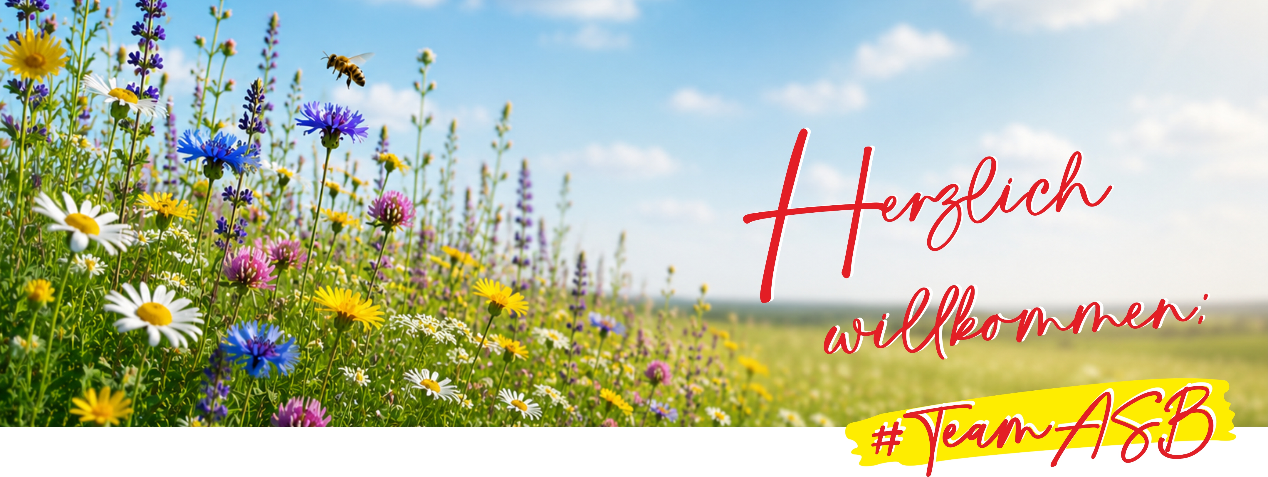 Header_7_2026.jpg