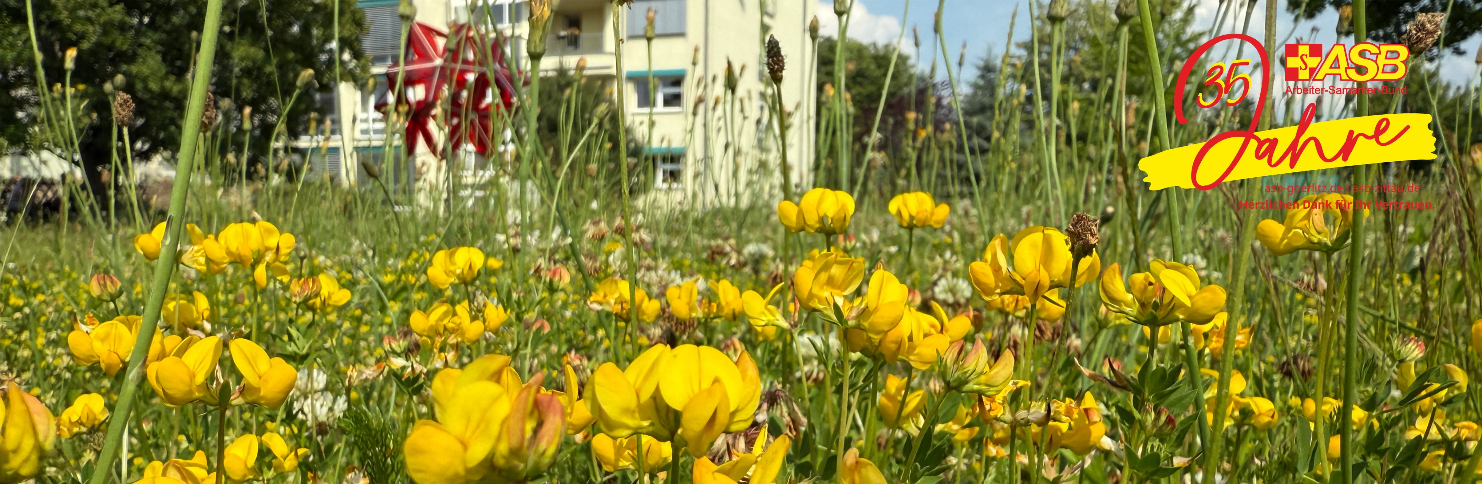 Header_6_25.jpg